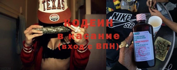хмурый Горняк