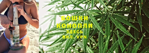 хмурый Горняк