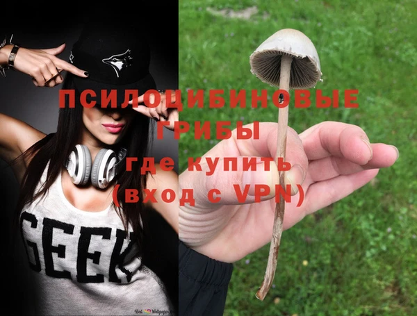 гашик Горнозаводск