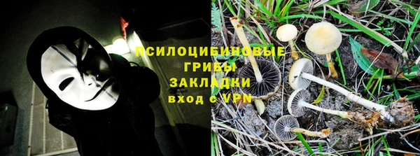 тгк Горно-Алтайск