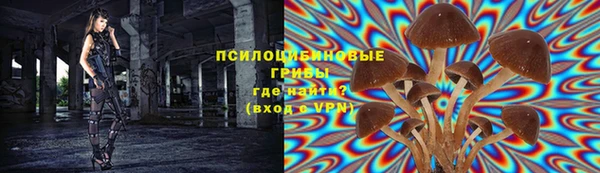 хмурый Горняк