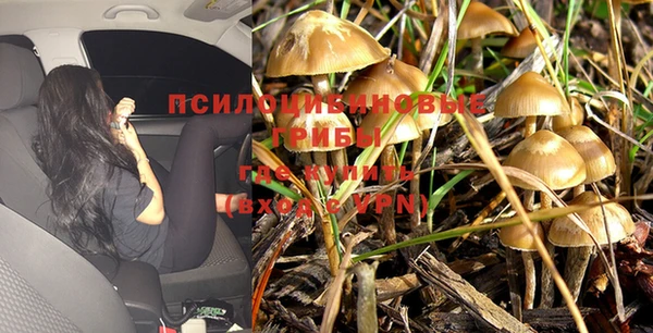 гашик Горнозаводск