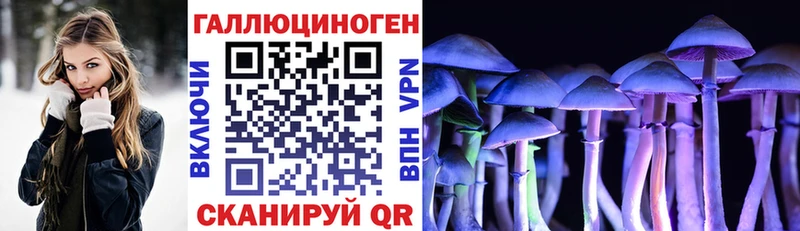 Купить где  Новая Ляля  Псилоцибиновые грибы Psilocybine cubensis 